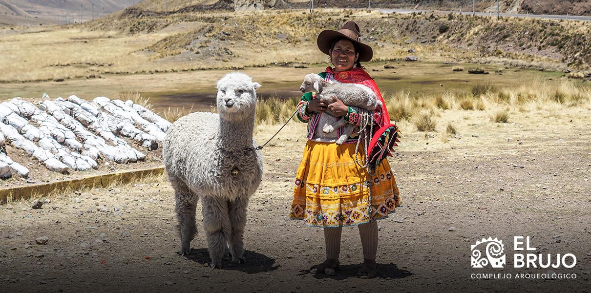 ALPACA Y ALGODÓN PERUANOS: Porque la lana de Alpaca me produce alergia?